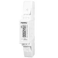Perry 1SDSD06CEM1DGT - Compteur numérique monophasé 45A