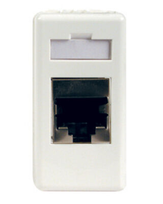 System White - conector para transmisión de datos FTP RJ45 Cat. 5e