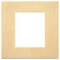 Linea - 2-module brushed gold plate