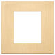 Linea - 2-module brushed gold plate
