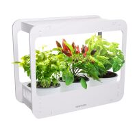 Century GRD-144840 - GARDEN for indoor cultivation