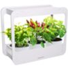 Century GRD-144840 - JARDÍN para cultivo interior