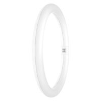 Ledvance VT9EM328401 - LED circular ex32 G10q 18.3W 4000K