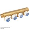 Giacomini R585CY023 - collettore componibile 3/4 x 16/3