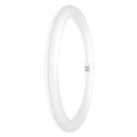 Ledvance VT9EM408401 - LED circular ex40 G10q 24W 4000K