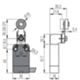 Pizzato NA B112KB-DN2 – rotary lever switch with roller
