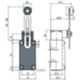 Pizzato FD 556-M2 – Adjustable roller lever switch