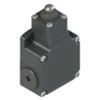 Pizzato FL 510 – Long Piston Switch