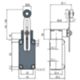Pizzato FD 535-M2 – Adjustable roller lever switch