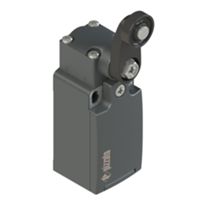 Pizzato FR 530 – interruptor de palanca giratorio con rodillo