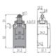 Pizzato FR 515-M2 – Piston switch with roller