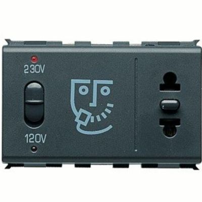 Playbus - European/American shaver socket