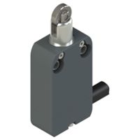 Pizzato NF B110BB-DN2 – Piston switch with roller