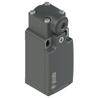Pizzato FR 538-M2 – interruttore per leve girevoli