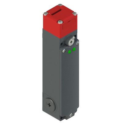 Pizzato FG 60GD1D0A – separate actuator switch with lock