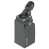 Pizzato FR 6A5 – roller lever switch with bellows