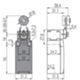 Pizzato FM 531-M2 – interruttore a leva girevole con rotella