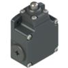 Pizzato FL 501-M2 – short plunger switch
