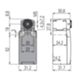 Pizzato FR 1638-M2 – interruptor para palancas giratorias