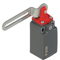 Pizzato FR 34C3-M2 – interruptor de palanca ranurado