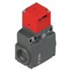 Pizzato FX 2093-M2 – interruttore ad azionatore separato