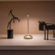 Zafferano LD1650DFO - Lampe de table Pina Pro noir-craquelé feuille d'or