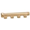 Caleffi 350730 - modular simple manifold int.60