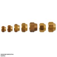 Tecnogas 11353 - buse 5/8 SAE