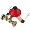 Tecnosystemi 21000440 - mini power unit for 2 cylinders of 10 kg/h