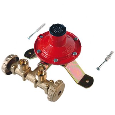 Tecnosystemi 21000440 - minicentralina per 2 bombole da 10 kg/h