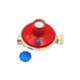 Tecnogas 750 - regulador de baja presión 1/4 - 1/2 kg/h 7