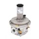Tecnogas 40045 - regulator 1 bar FF 2 with filter