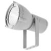Side E1087-LBC-25 - Projecteur extérieur REEF MICRO gris