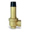 Watts 212135 - valvola sicurezza INAIL 1/2x3/4 bar 3,5