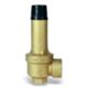 Watts 212160 - INAIL safety valve 1/2x3/4 bar 6