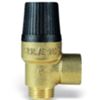Watts 206050N - safety valve 1/2 MF bar 5