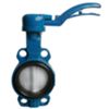 Watts 149G34924P - butterfly valve Dn 65 wafer