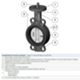 Watts 149G34937P - butterfly valve Dn 125 lug