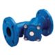 Watts 149B3261 - filtro flangiato 2 DN 50 Pn 16