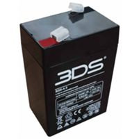 Batterie rechargeable Selco BS6-4.5 - 6 V 4,5 Ah