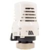 Watts 148A - tête thermostatique
