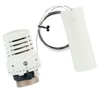 Watts 148SD - thermostatic head with probe
