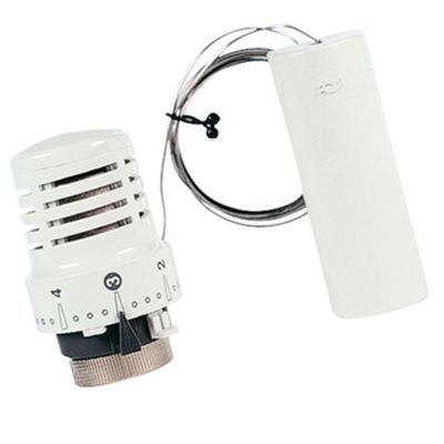 Watts 148SD - thermostatic head with probe
