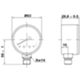 Watts PZFEA321018LF - radial pressure gauge 1/4 0-10 bar/psi D.63