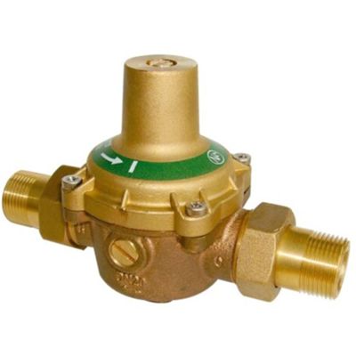 Watts 149B7228 - riduttore di pressione 11 DO 1