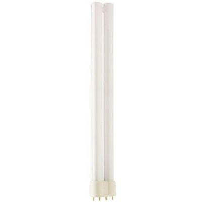 Lampes fluorescentes Linergy A131 - 2G11 24W 4000K
