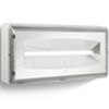 Linergy CE1105 - CRISTAL EVO 1h SE emergency lamp