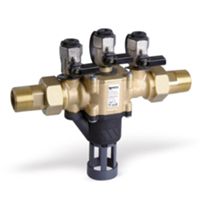 Watts 149B70005 – Clapet anti-retour BABM 2 DN 50