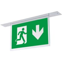 Linergy A034 - Kit de signalisation d'urgence LYRA EVO