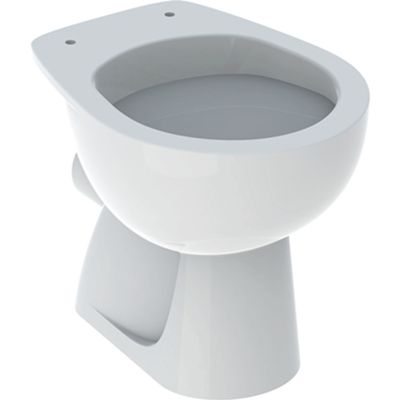 Geberit 500.875.00.1 - Inodoro de pie Colibrì con salida a pared